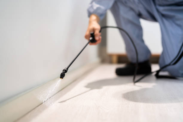 Licensed Fumigation Services service in DeSoto, TX - Nex Pest Control