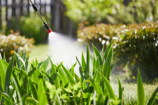 24/7 Emergency Fumigation Services experts in DeSoto, TX