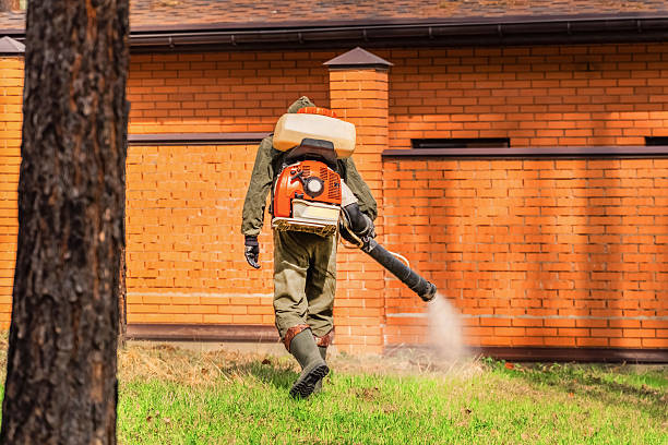 Top rated local Fumigation Services specialists in DeSoto, TX